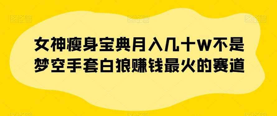 女神瘦身宝典月入几十W不是梦空手套白狼赚钱zui火的赛道【揭秘】