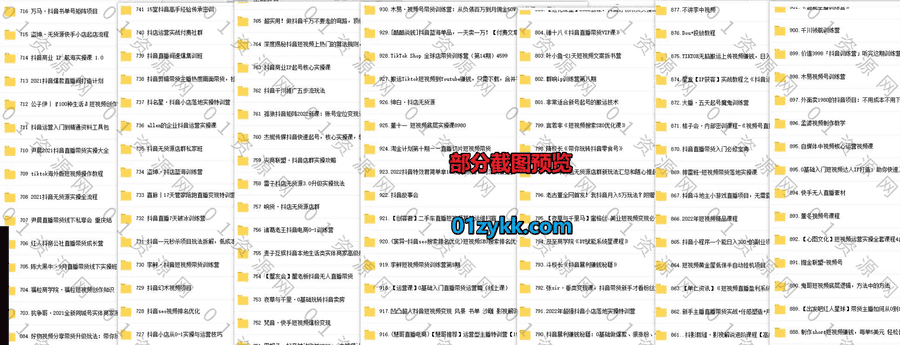 2022年部分新增的300套+抖音短视频系列课程1200G百度网盘资源合集，包含电商直播/抖音带货卖课/流量营销/无人直播/知识付费IP打造…等_赚钱插图1