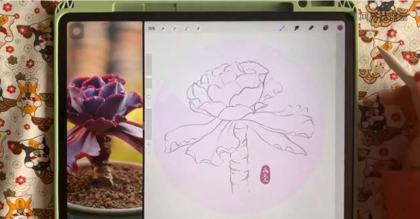 Procreate水彩绘画,画久久iPad水彩插画课(65G) 价值198元插图1 画久久iPad水彩插画课 视频截图