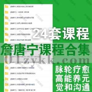 詹唐宁24套视频课程357G网盘资源合集，包含十座幻象之城/高能养元/脉轮疗愈营/清理疗愈营家族源泉/觉和沟通法则/走向父母/成事显化…等_赚钱插图