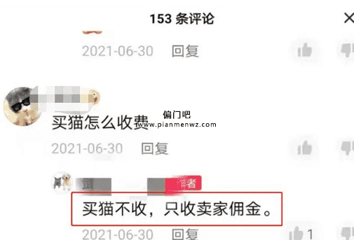 抖音热门同城宠赚钱项目插图1
