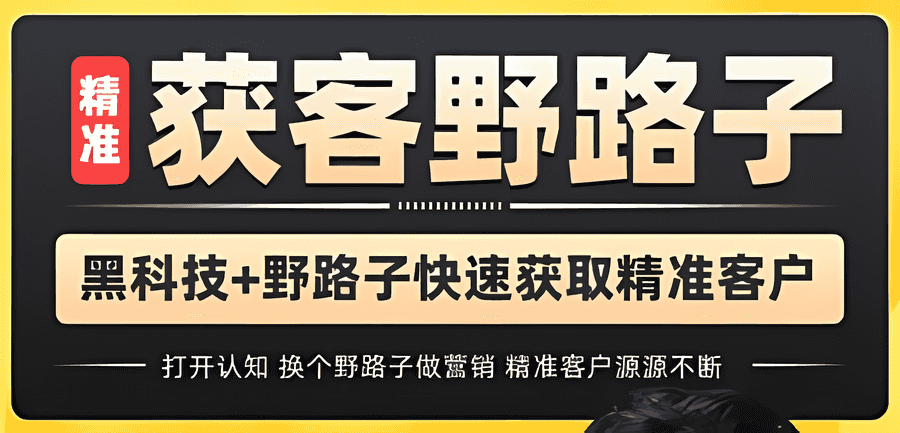 杨光《精准获客野路子》黑科技+快速加人玩法，精准客户源源不断插图