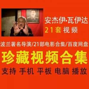 安杰伊·瓦伊达│21部电影百度网盘蓝光超清合集（带中文字幕）_赚钱插图