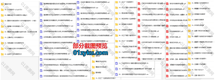 60G乒乓球训练教学视频+电子书百度网盘资源合集，包括步法教学/九级训练/发球旋球正反手技术指导/guojia队实战教程……等内容_赚钱插图1