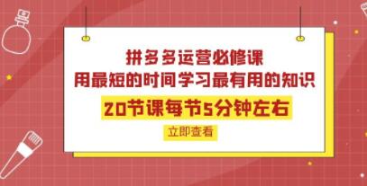拼多多运营视频课