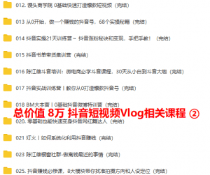 【6款手机视频剪辑软件】【全解锁VIP】【永久免费】【送价值8万短视频营销教程】_赚钱插图9