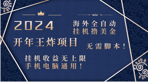 【第8620期】2024海外撸美金项目！手机电脑均可