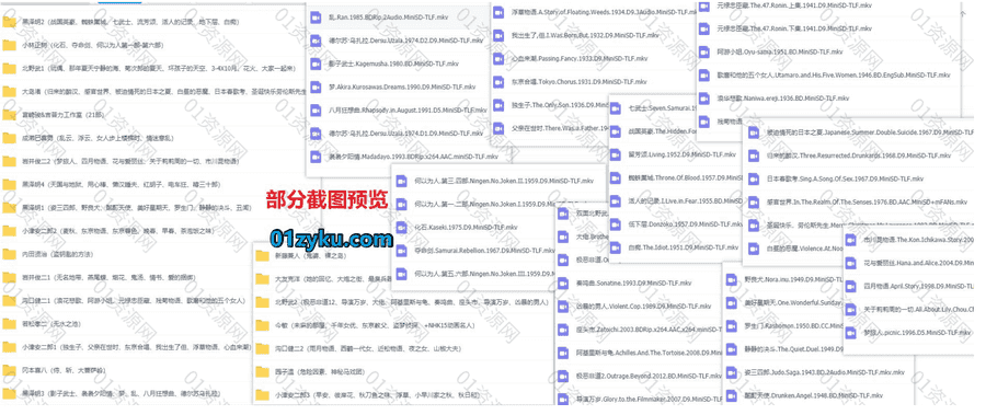 24位东亚日本知名导演代表作电影102G百度网盘超清资源合集，包含园子温/岩松孝二/小津安二郎/大友克洋/黑泽明……等导演_赚钱插图1