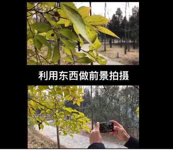冯朋手机摄影教程+剪映视频剪辑,19节短视频拍摄制作课程下载 价值499元插图2 冯朋手机摄影 剪映视频剪辑课程 视频截图