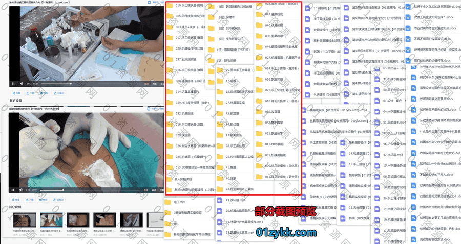 90G美容纹绣纹眉韩式半永久教学基础进阶实操视频课程+电子版文档百度网盘资源合集，包含手工打雾/练习皮操作/睫毛嫁接/眉眼唇…等系统教学_赚钱插图1