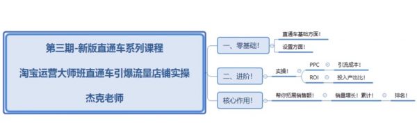 2020新版淘宝直通车零基础推广运营课程,打造店铺爆款 价值199元插图1 新版淘宝直通车打爆款零基础教程 视频截图