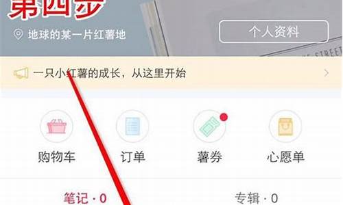 高效利用小红书进行品牌推广的步骤(高效利用小红书进行品牌推广的步骤是什么)插图